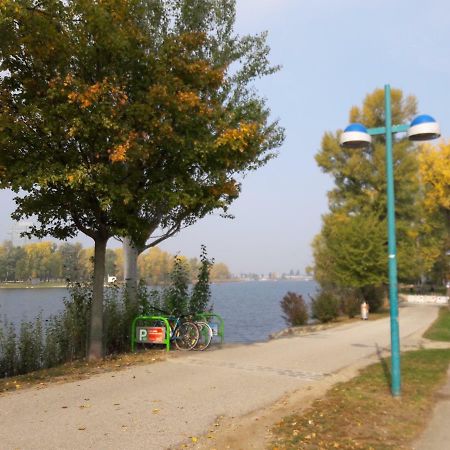 Bungalow At Lake Alte Donau 维也纳 外观 照片
